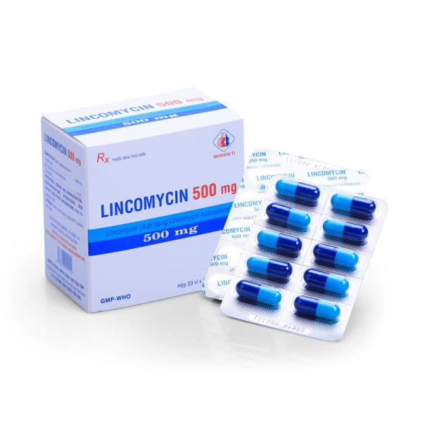 Lincomycin 500mg - Giải pháp điều trị nhiễm khuẩn hiệu quả - Hình ảnh 3