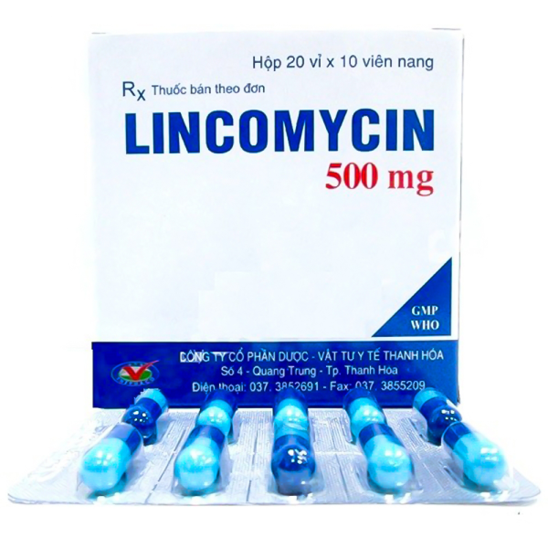 Lincomycin 500mg - Giải pháp điều trị nhiễm khuẩn hiệu quả - Hình ảnh 2