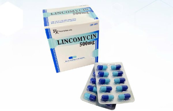 Lincomycin 500mg - Giải pháp điều trị nhiễm khuẩn hiệu quả